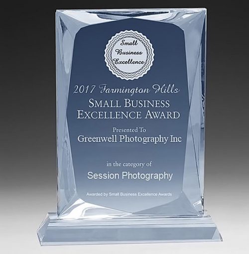 2017 Farmington Hills Small Business Excellence Award
